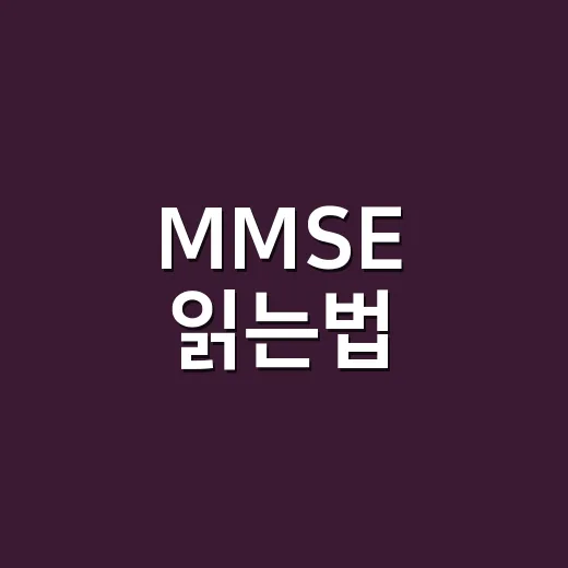 MMSE 읽는법, 문자 발송표에서 헷갈리지 않게 확인하는 방법 - 요약