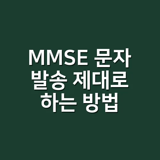 MMSE 문자 발송 제대로 하는 방법: MMS·SMS·알림톡 규정부터 맞추기 - 요약