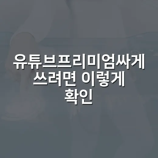 유튜브프리미엄싸게 쓰려면 이렇게 확인하세요 - 요약