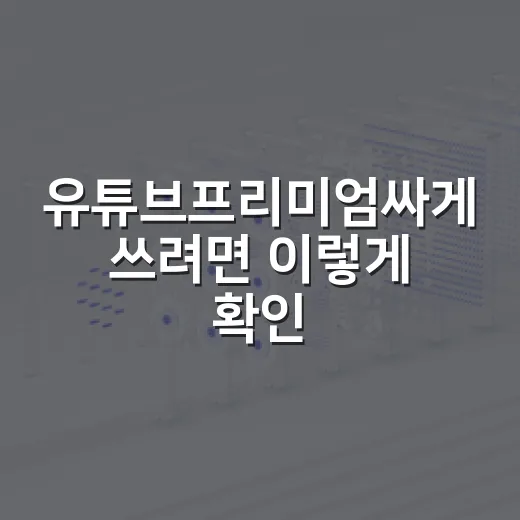 유튜브프리미엄싸게 쓰려면 이렇게 확인하세요 - 요약