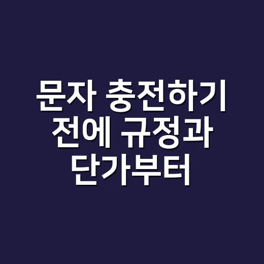문자 충전하기 전에 규정과 단가부터 확인하는 방법 - 요약