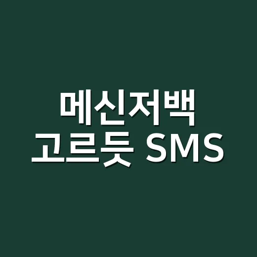 메신저백 고르듯 SMS·MMS·알림톡 채널 선택하는 방법 - 요약