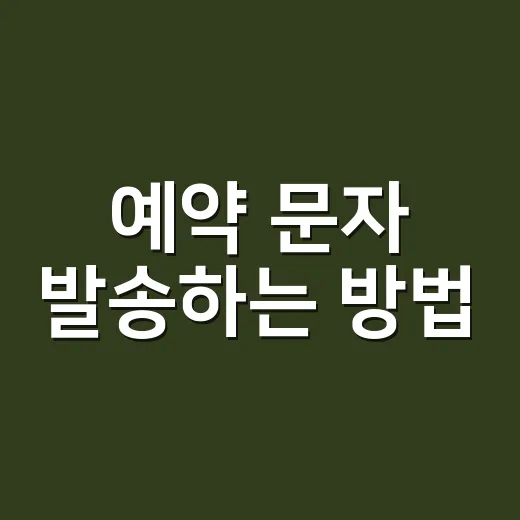 예약 문자 발송하는 방법, 시간보다 먼저 확인할 규정 체크 - 요약