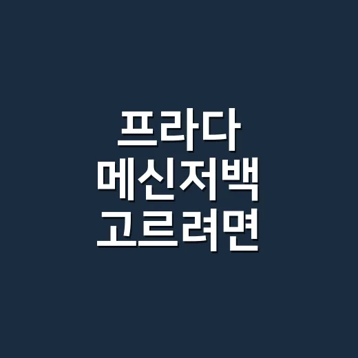 프라다 메신저백 고르려면 이렇게 보세요 - 요약
