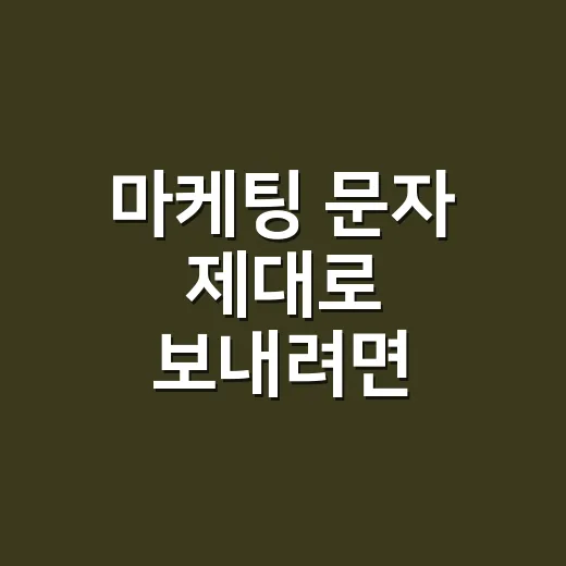 마케팅 문자 제대로 보내려면 이렇게 잡아야 합니다 - 요약