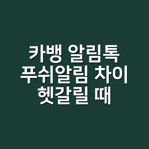 카뱅 알림톡 푸쉬알림 차이 헷갈릴 때 확인하는 방법 - 요약