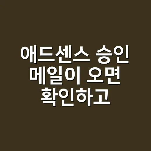 애드센스 승인 메일이 오면 확인하고 설정하는 방법 - 요약