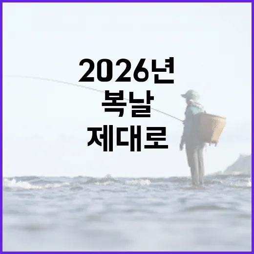 2026년 복날을 제대로 즐기는 방법 - 요약