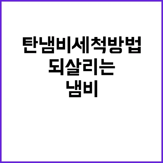 탄 냄비 세척방법, 초보자도 냄새 없이 되살리는 방법 - 요약