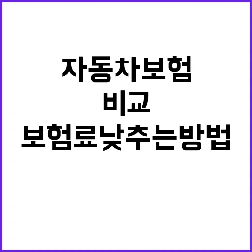 자동차보험견적비교사이트로 보험료 낮추는 방법 - 요약