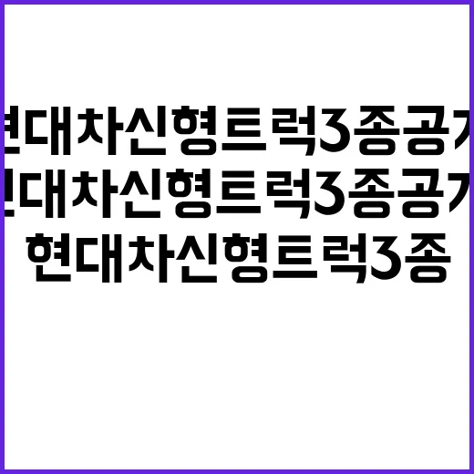 현대차 신형 트럭 3종 공개, 구매 전 이렇게 비교하는 방법 - 요약