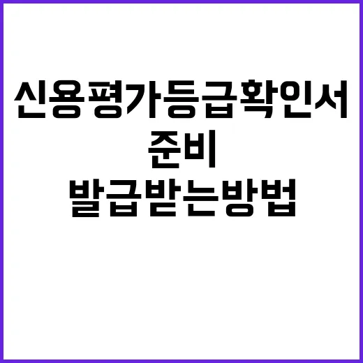 신용평가등급확인서 발급받는 방법, 처음이면 이렇게 준비하세요 - 요약