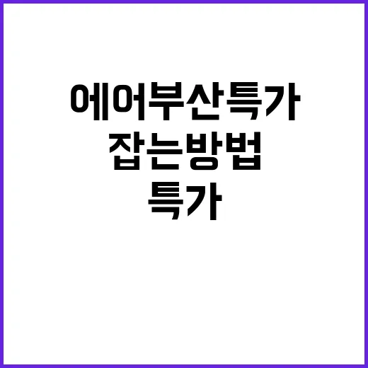 에어부산특가 놓치지 않고 잡는 방법, 예매 전 이렇게 확인하세요 - 요약