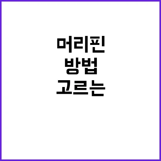 머리핀 예쁘게 꽂는 방법, 흘러내리지 않게 고르는 요령까지 - 요약