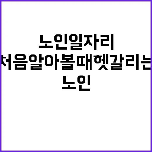 노인일자리 신청하는 방법, 처음 알아볼 때 헷갈리는 부분만 쉽게 잡기 - 요약