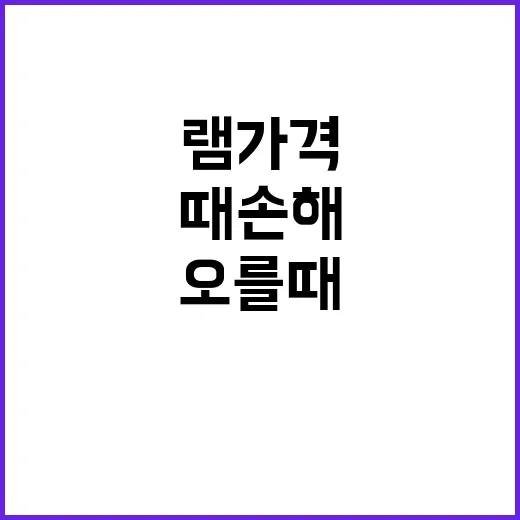 램가격 오를 때 손해 덜 보고 사는 방법 - 요약