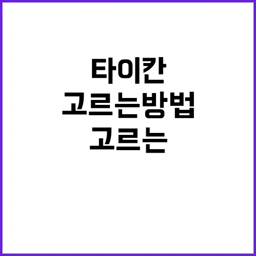 타이칸 고르는 방법, 처음 보는 사람도 감 잡히게 - 요약