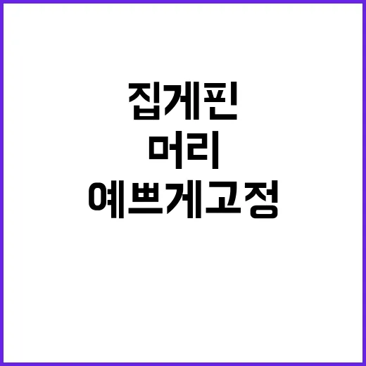 집게핀 예쁘게 고정하는 방법, 머리숱과 길이에 맞게 고르는 팁 - 요약