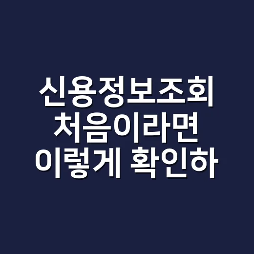 신용정보조회 처음이라면 이렇게 확인하는 방법 - 요약