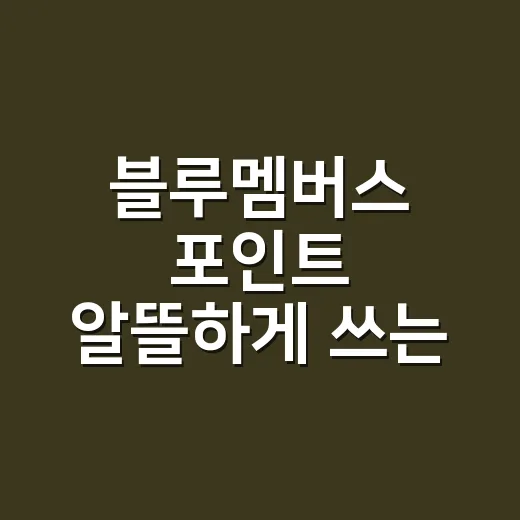 블루멤버스 포인트 알뜰하게 쓰는 방법 - 요약