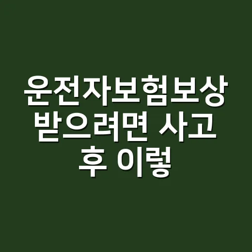 운전자보험보상 받으려면 사고 후 이렇게 확인하세요 - 요약