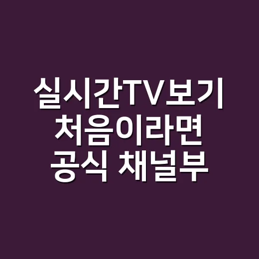 실시간TV보기 처음이라면 공식 채널부터 확인하는 방법 - 요약