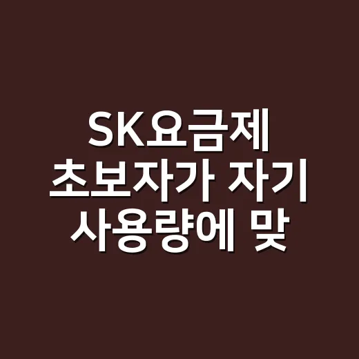 SK요금제 초보자가 자기 사용량에 맞게 고르는 방법 - 요약