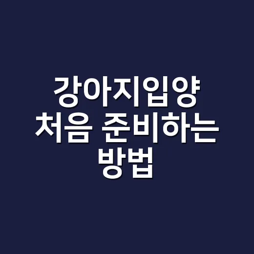 강아지입양 처음 준비하는 방법, 집에 데려오기 전 꼭 챙길 것들 - 요약