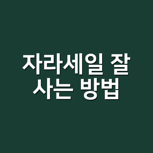 자라세일 잘 사는 방법, 초보자가 놓치기 쉬운 타이밍과 장바구니 팁 - 요약