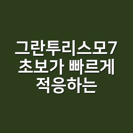 그란투리스모7 초보가 빠르게 적응하는 방법 - 요약