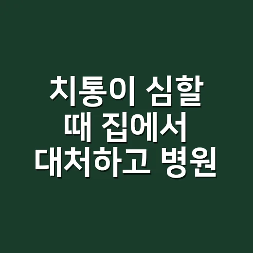 치통이 심할 때 집에서 대처하고 병원 갈 타이밍 잡는 방법 - 요약