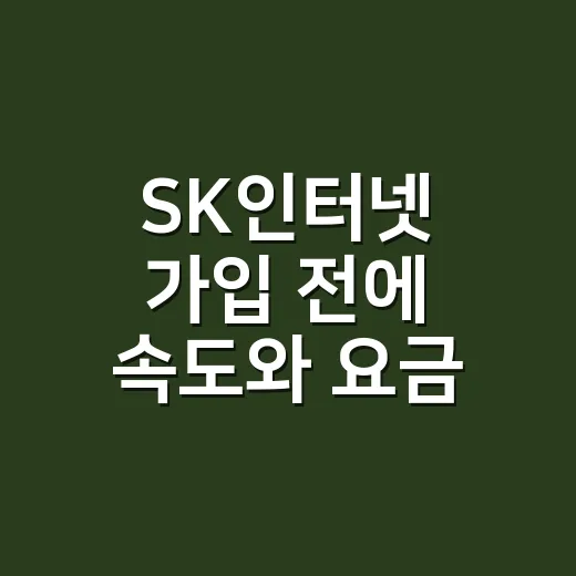 SK인터넷 가입 전에 속도와 요금 고르는 방법 - 요약