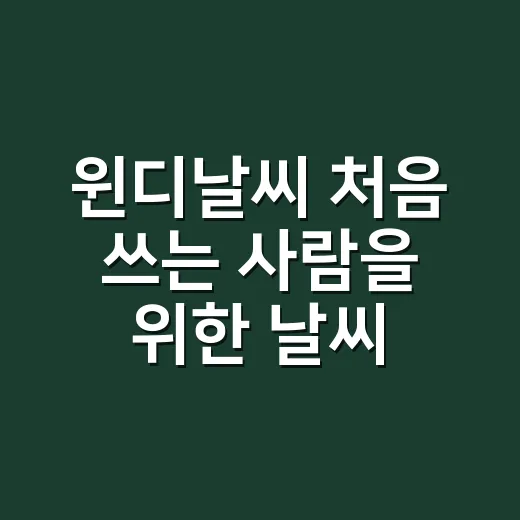 윈디날씨 처음 쓰는 사람을 위한 날씨 보는 방법 - 요약