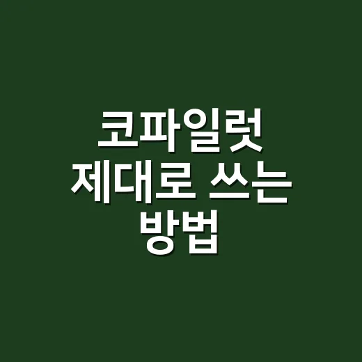 코파일럿 제대로 쓰는 방법: 초보자가 바로 써먹는 업무·코딩 활용법 - 요약