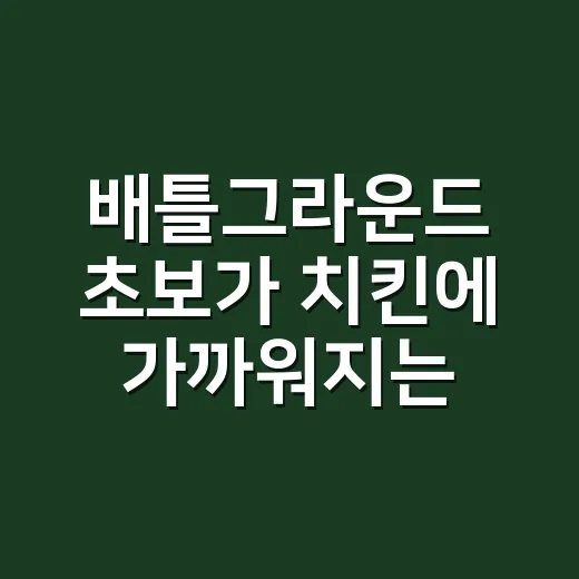 배틀그라운드 초보가 치킨에 가까워지는 방법 - 요약