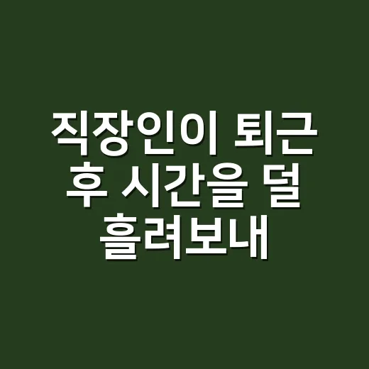 직장인이 퇴근 후 시간을 덜 흘려보내는 방법 - 요약