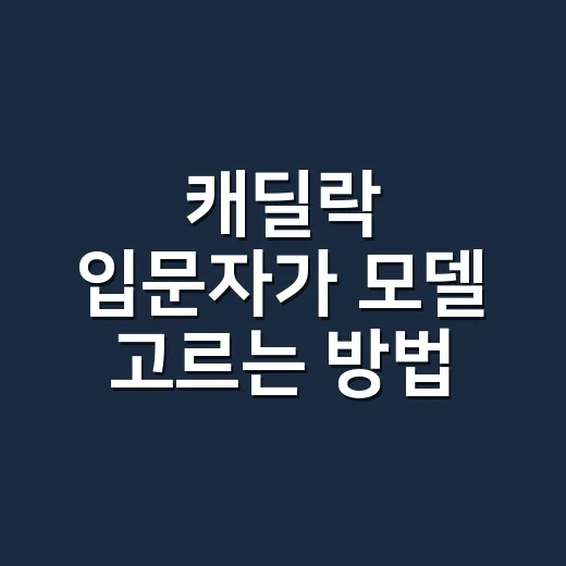 캐딜락 입문자가 모델 고르는 방법, SUV부터 세단까지 이렇게 보면 쉽습니다 - 요약