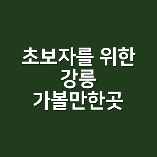 초보자를 위한 강릉 가볼만한곳 동선 짜는 방법 - 요약