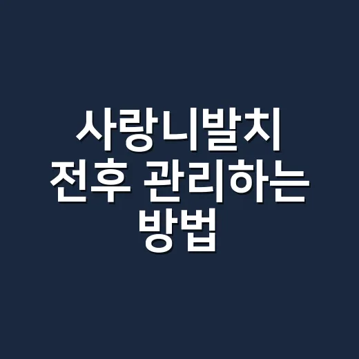 사랑니발치 전후 관리하는 방법, 덜 붓고 덜 아프려면 이렇게 챙기세요 - 요약