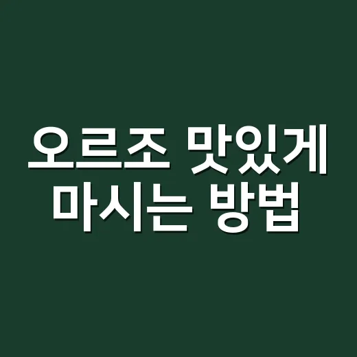 오르조 맛있게 마시는 방법, 커피 대신 고소하게 즐기려면 이렇게 - 요약