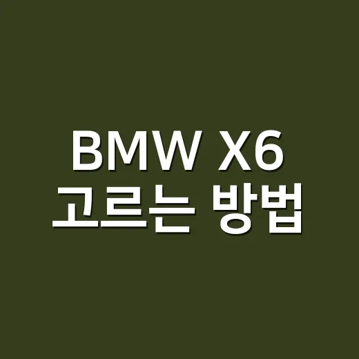 BMW X6 고르는 방법, 디자인보다 먼저 봐야 할 기준 - 요약
