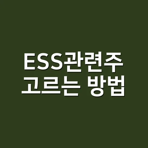 ESS관련주 고르는 방법, 초보자는 이렇게 보면 덜 흔들립니다 - 요약
