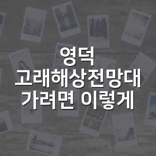 영덕 고래해상전망대 가려면 이렇게 움직이면 편해요 - 요약