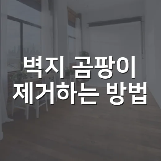 벽지 곰팡이 제거하는 방법, 번지기 전에 이렇게 처리하세요 - 요약