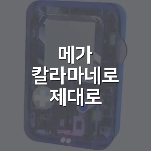 메가 칼라마네로 제대로 이해하는 방법, 타입부터 활용 포인트까지