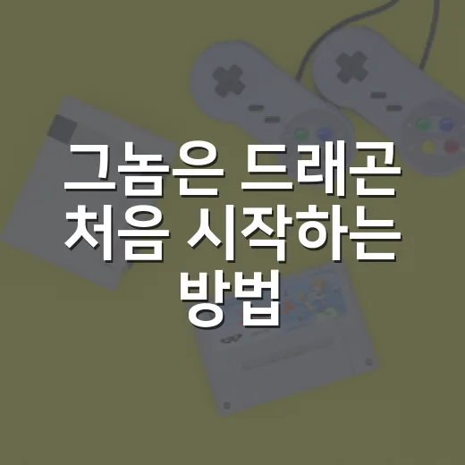 그놈은 드래곤 처음 시작하는 방법, 초보가 먼저 챙길 것들 - 요약