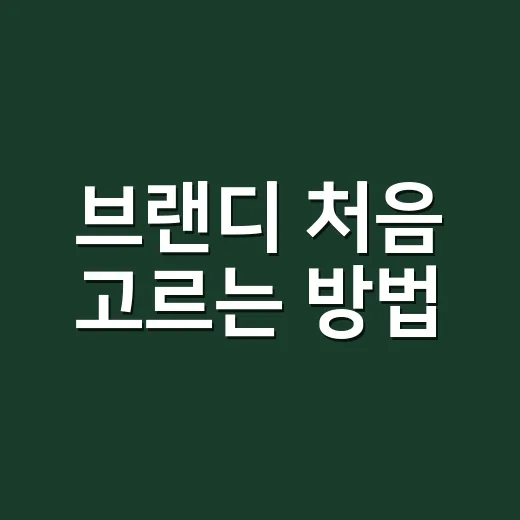 브랜디 처음 고르는 방법, 라벨부터 마시는 법까지 쉽게 잡기 - 요약