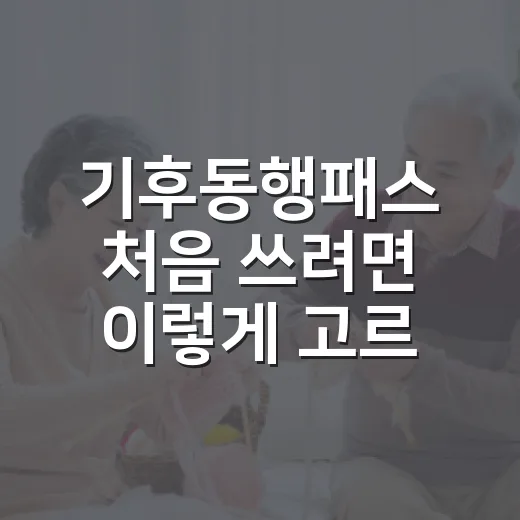 기후동행패스 처음 쓰려면 이렇게 고르면 됩니다 - 요약