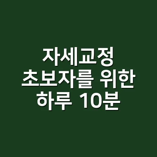 자세교정 초보자를 위한 하루 10분 실천 방법 - 요약