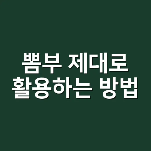 뽐부 제대로 활용하는 방법, 초보자가 헷갈리지 않게 시작하려면 이렇게 - 요약